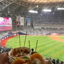 철원중학교 | 고척스카이돔 키움 야구장 원정석 3루 버건디석 112구역 롯데 직관 후기