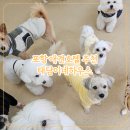 태담이네 하우스 이미지