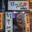동부갈매기 이미지