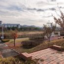 선옥공원 이미지