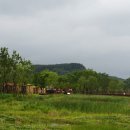 국립생태원 이미지