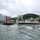 평림초등학교 티스토리
