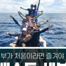 비오비트레블 네이버블로그