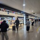 터미날약국 | 부산 대마도 배편 예약 및 가격 요금, 이즈하라 히타카츠 노바호 후기