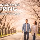 보성빌딩 | 전라도 봄꽃 언제 가야 후회 없을까, 구례·여수·보성 2박3일 개화 시기별 코스 설계법