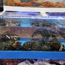 팔공수산 이미지