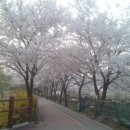 삼익공인중개사사무소 이미지