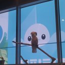 크레이쥬 이미지