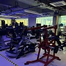 올페이스짐 | 올곧게 조져볼까? 배곧PT 맛집 올페이스짐 정복기