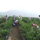 농촌전통테마마을 이미지