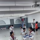 진향태권도장 이미지