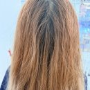 엘룩스헤어 | 주안역미용실 엘룩스헤어 헤어보톡스 복구 클리닉 후기