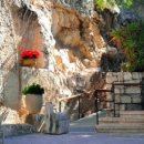 고앤고짐 이미지