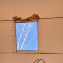 바다다 | [강화도 캠핑장 추천] 깔끔하고 한적한 오션뷰 캠핑장 "바다다" 내돈내산 후기 (쿠디 에어텐트)