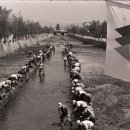 수원-1973 이미지