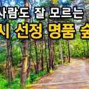 한 번 걸으면 100세까지 살 수 있다는 전설의 산책코스ㅣ대중교통 당일치기 여행ㅣ지하철 여행ㅣ트레킹 코스ㅣ서울산책 이미지