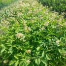 준태농장 이미지