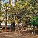 충렬사화장실 이미지