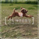 제이그라운드 이미지