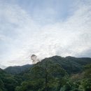 다다예술학교 | 청주 가볼만한곳 추정리메밀밭 주차 및 입장료 낭성면 다다예술학교 메밀꽃 관람후기