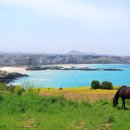 제주마을 이미지