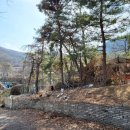 계산동 염소탕 금강산흑염소전문점 100% 솔직후기