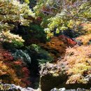 가을 11월 초중순경에 다녀왔던 서귀포 수악계곡 이미지
