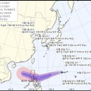 고니나라 연합뉴스