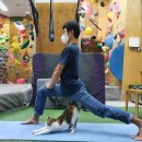 실내암벽장 이미지