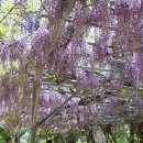 가남초등학교 이미지