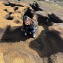 마이웨이버거 | [🌊🍊 제주도 🥕(4)] 사계해안 | 피즈애월 | 화조원 | 오가다 | 중식오월