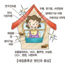 창아로마테라피 이미지