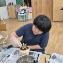 도시텃밭 정원을 가꾸는 유기농기능사 | 흙과 함께하는 지속가능한 삶을 위한 토기 화분 체험