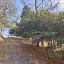 염산야월보건진료소 | [전남 영광]영광여행 스탬프투어 즐기기~~