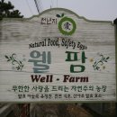 자연주의와산야초 이미지