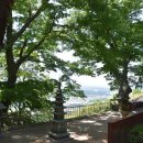 사자사지 이미지