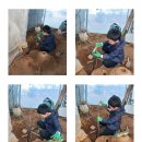 우환농장 이미지