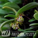 한라전설(주) 이미지