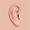 장수건강 이미지