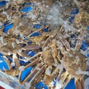 대성수족관 | 자갈치시장횟집추천 대성횟집｜기본반찬부터 다른 자갈치시장가성비횟집