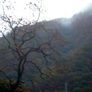 산암 이미지