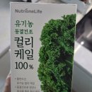 [내돈내산] 인영 공구 "뉴트리원 유기농 동결건조 컬리 케일 100%"를 먹어본 후기
