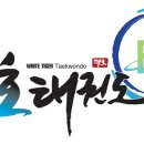 국가대표 백호 태권도장 이미지