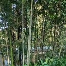 오션뷰하우스 이미지