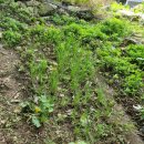 세명농장 이미지