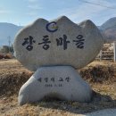 옥곡 장동리 쌍효정려비 이미지