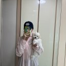 예빈플라워 | [일상모음] 우리집에 새로운 가족이 생겼어요