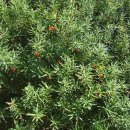 바닷가에서 이미지