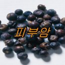 성암건강원 이미지