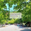 홍천군문화의집 | 홍천 캠핑장 추천 캠프하다 후기 - 아이들과 함께 가기 좋은 명소